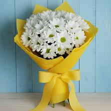 Букет цветов из:  Хризантемы в Лосино-Петровском
