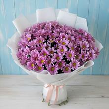 Букет цветов из:  Хризантемы в Лосино-Петровском