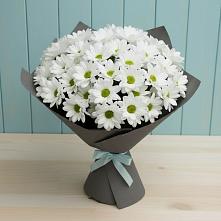 Букет белые хризантемы в Лосино-Петровском Букет цветов из:  Хризантемы в Лосино-Петровском