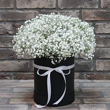 Цветочная композиция из Гипсофила в шляпной коробке в Лосино-Петровском